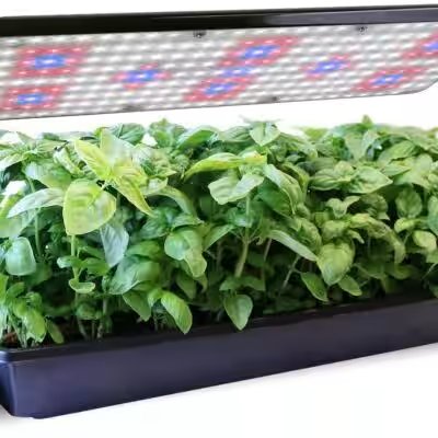AeroGarden Harvest Elite Indoor Hydroponic Garden Review 2026: Is the Amazon Bestseller Worth the Hype? - Product Image