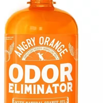 Angry Orange Pet Odor Eliminator Enzyme Cleaner 32oz Review — The Amazon Favorite With 5,000+ Ratings Put to the Test - Product Image