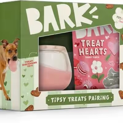 Bark Box Monthly Subscription Dog Toys Treats Medium Review — 100,000+ Amazon Ratings Later, Here's Our Honest Verdict - Product Image