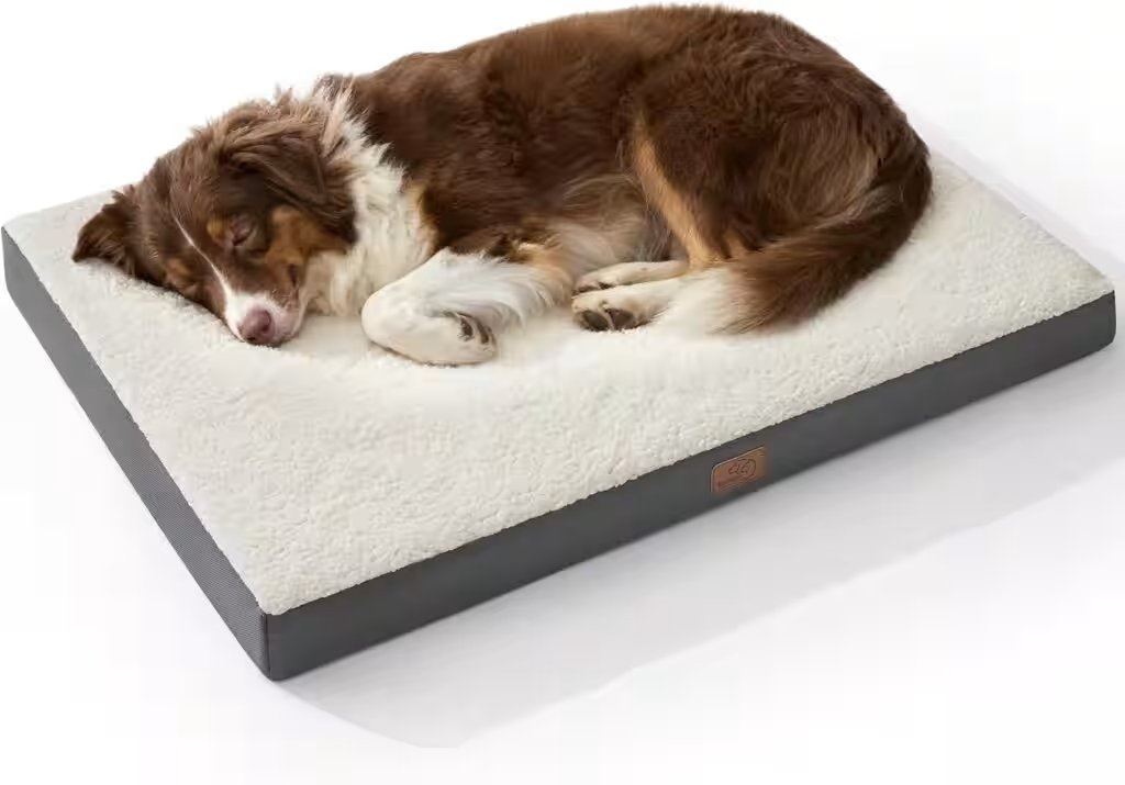 Bedsure Orthopedic Dog Bed Large with Washable Cover Review: 37,000+ Reviews Can't Be Wrong — Or Can They? - Product Image