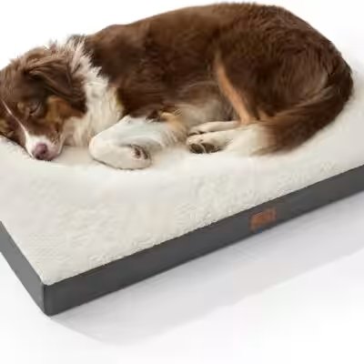 Bedsure Orthopedic Dog Bed Large with Washable Cover Review: 37,000+ Reviews Can't Be Wrong — Or Can They? - Product Image