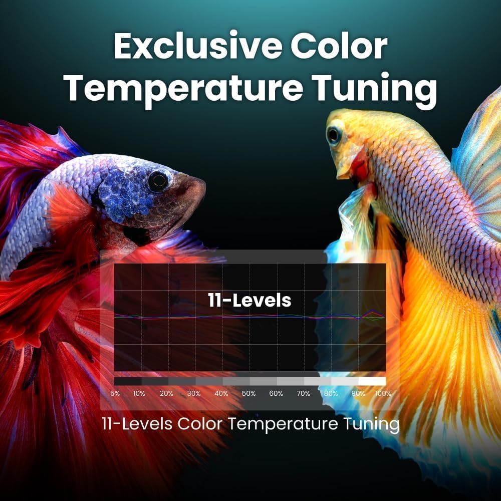 BenQ TK860i 4K HDR Smart Home Projector - Real-World Performance