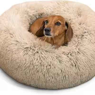 Best Friends by Sheri Calming Donut Dog Bed Medium Review: We Tested the Amazon Bestseller So You Don't Have To - Product Image