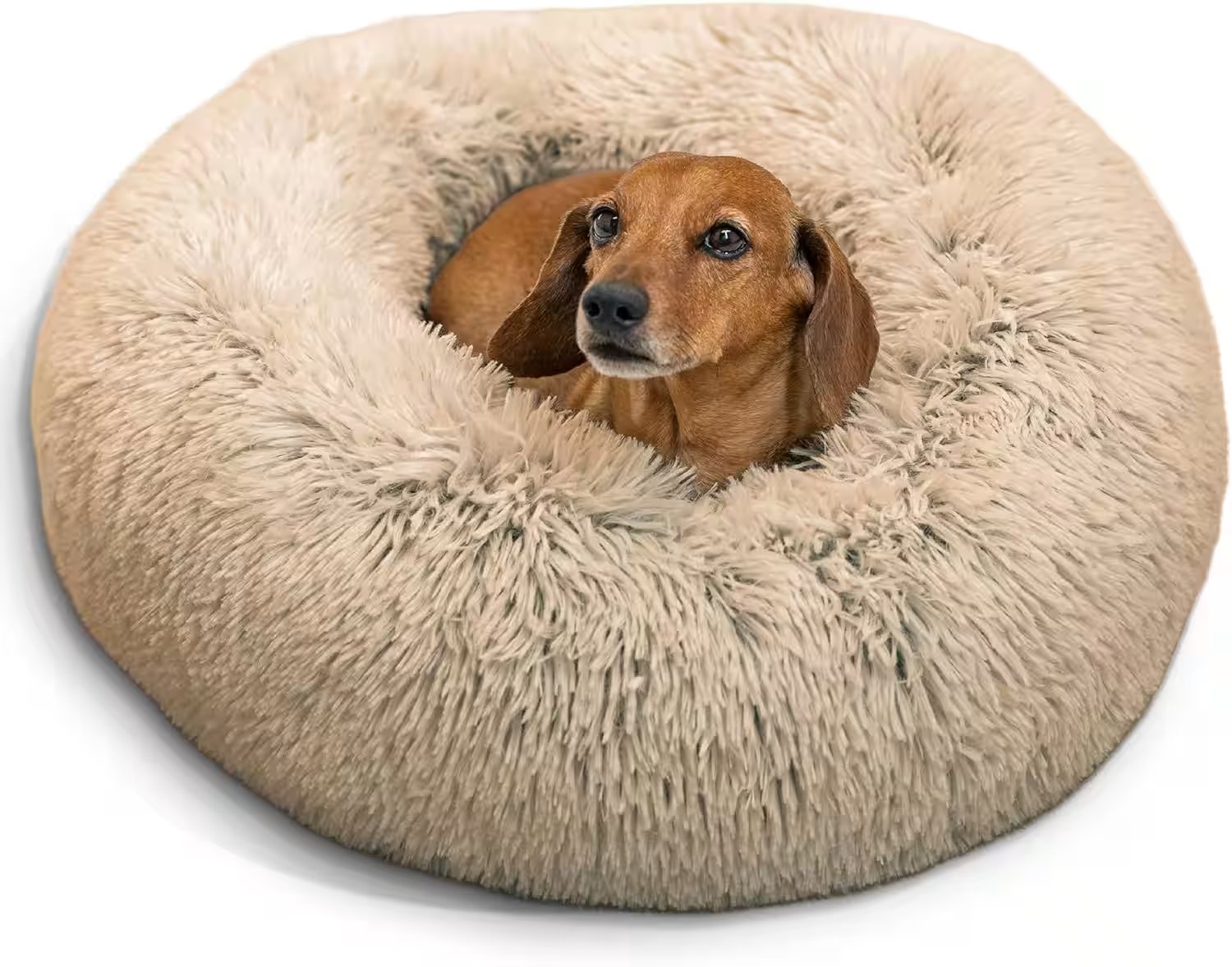 Best Friends by Sheri Calming Donut Dog Bed Medium Review