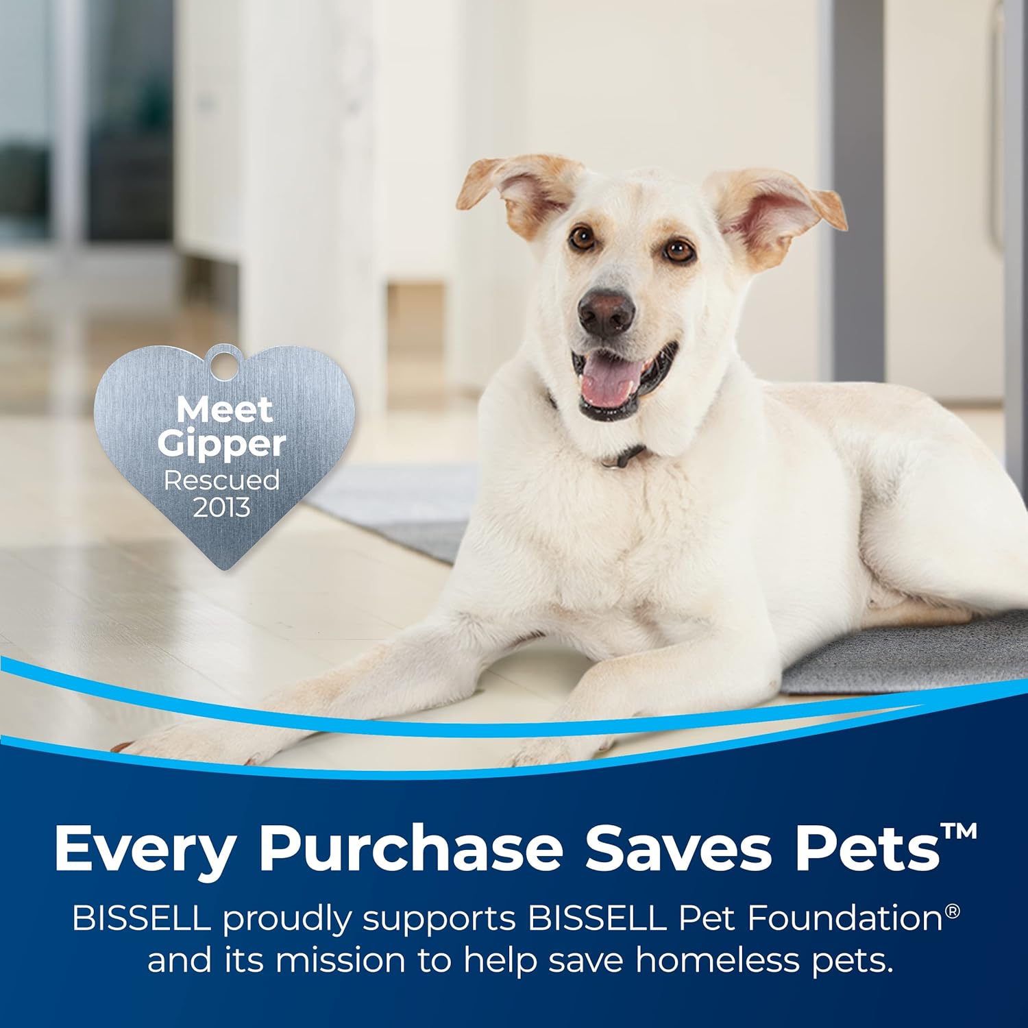 Bissell CrossWave Floor and Carpet Cleaner 1785A - Key Specifications