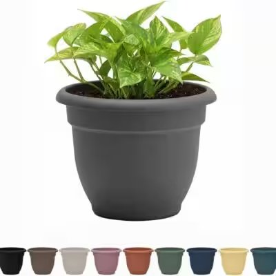 Bloem Ariana Self Watering Planter 16 Inch Charcoal Review: Why This 4.5-Star Amazon Best-Seller Deserves the Hype - Product Image