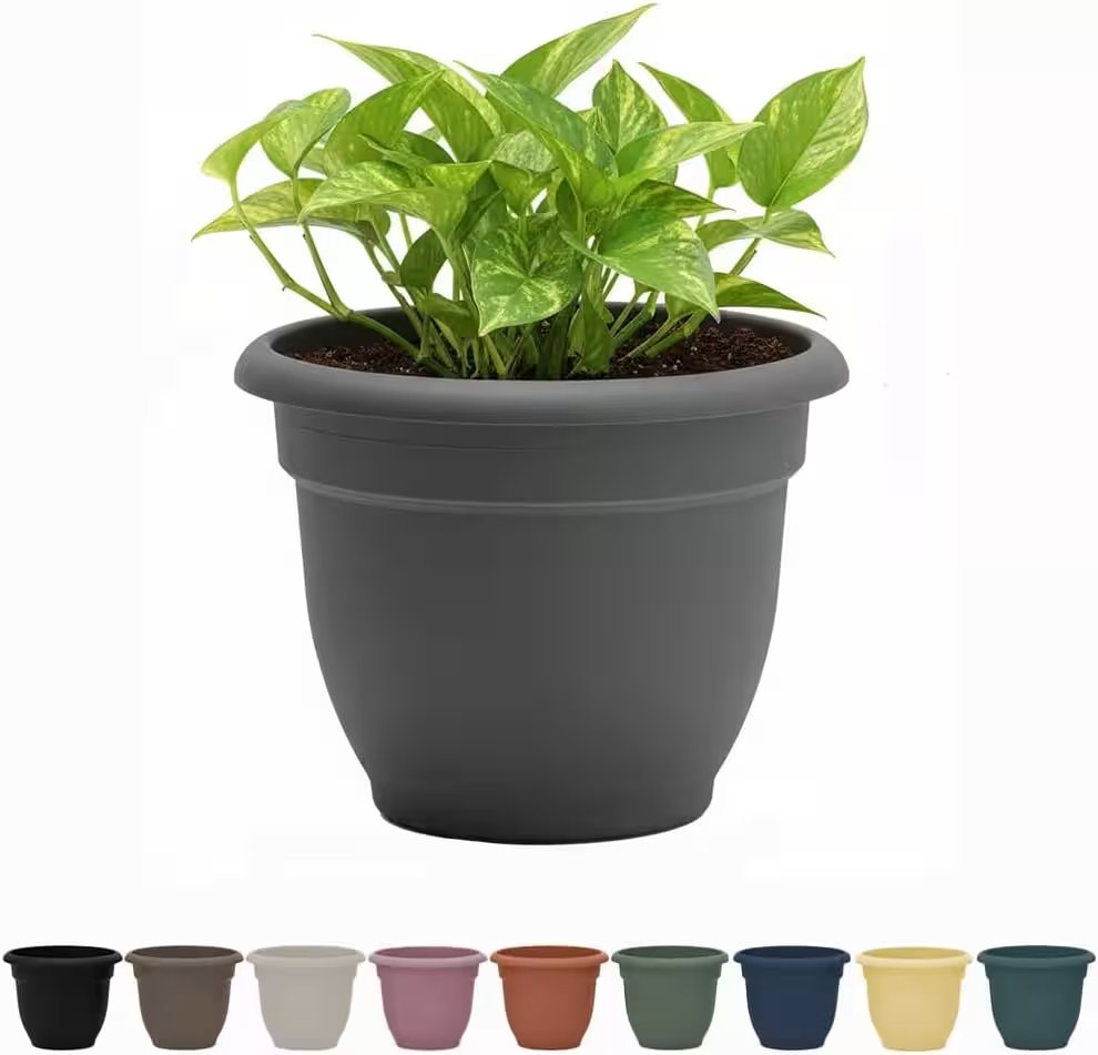 Bloem Ariana Self Watering Planter 16 Inch Charcoal Review: Why This 4.5-Star Amazon Best-Seller Deserves the Hype - Product Image
