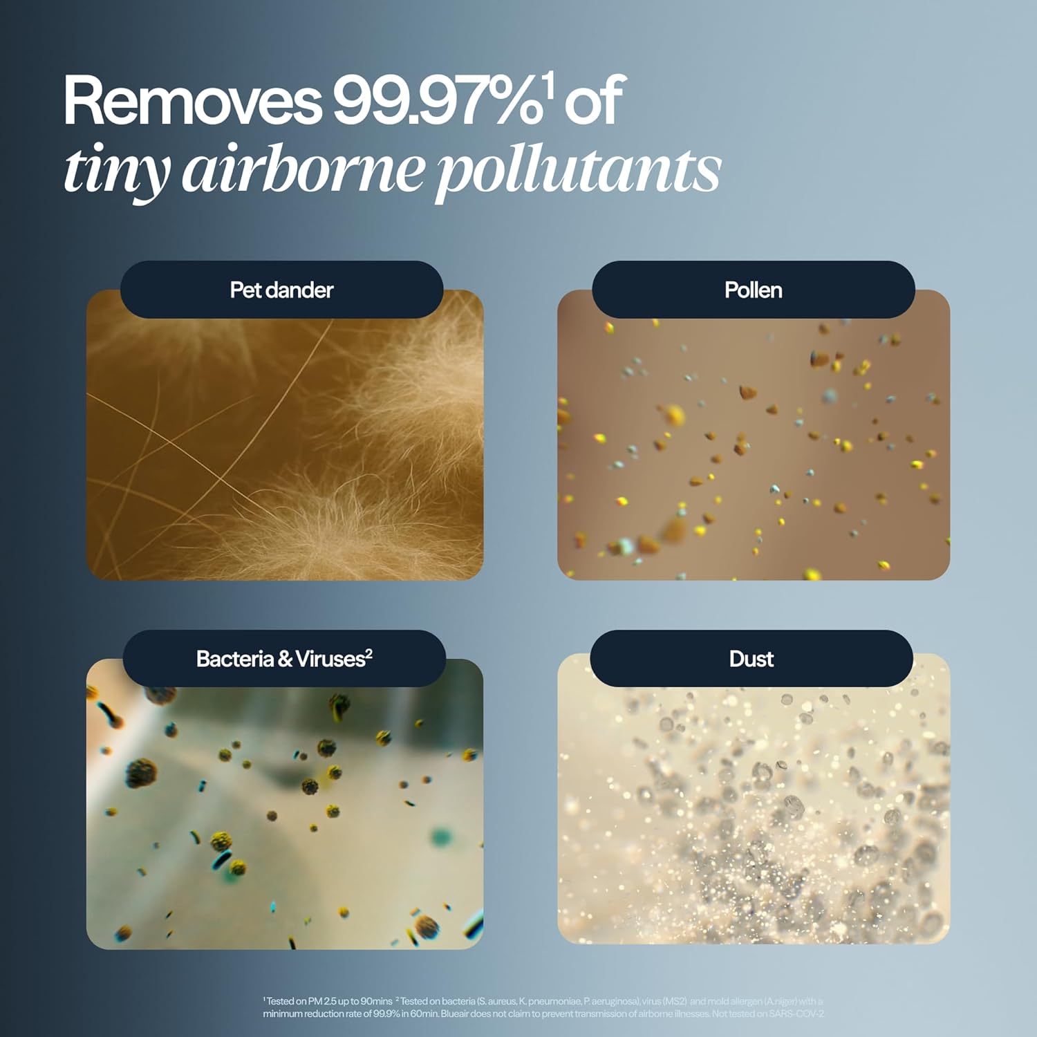 Blueair Blue Pure 411i Max Air Purifier - Real-World Performance