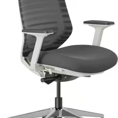 Branch Ergonomic Chair High Performance Mesh Review: The 50,000+-Review Amazon Hit — Worth Your Money? - Product Image