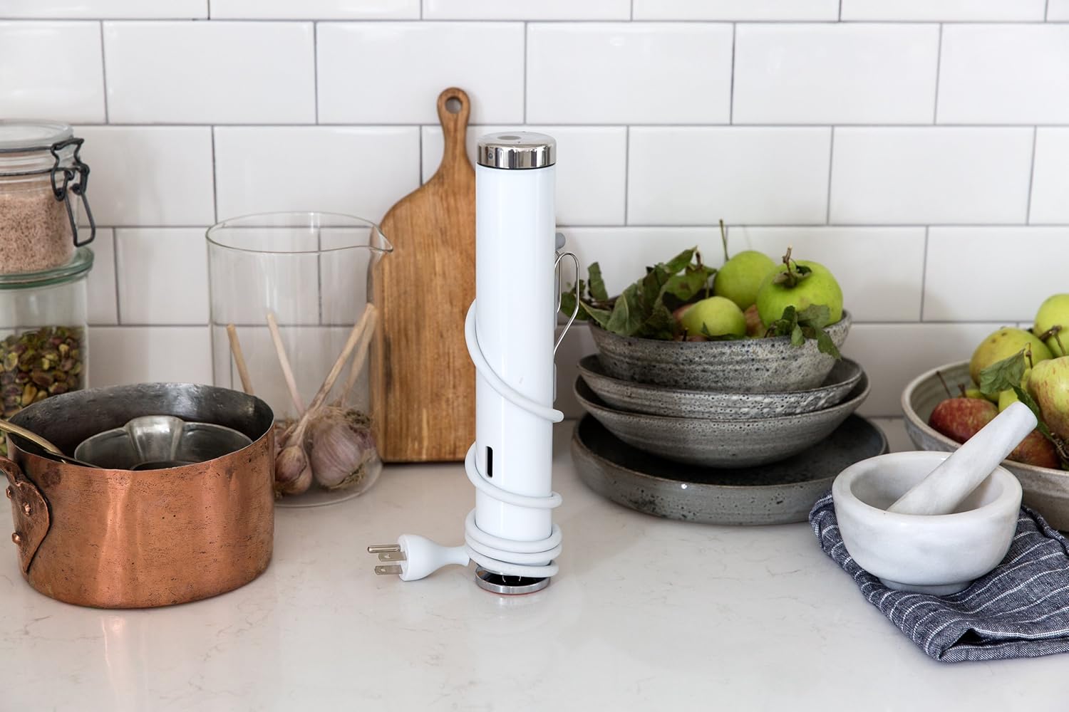 Breville BIA500XL PolyScience Joule Sous Vide - Is It Worth the Price?