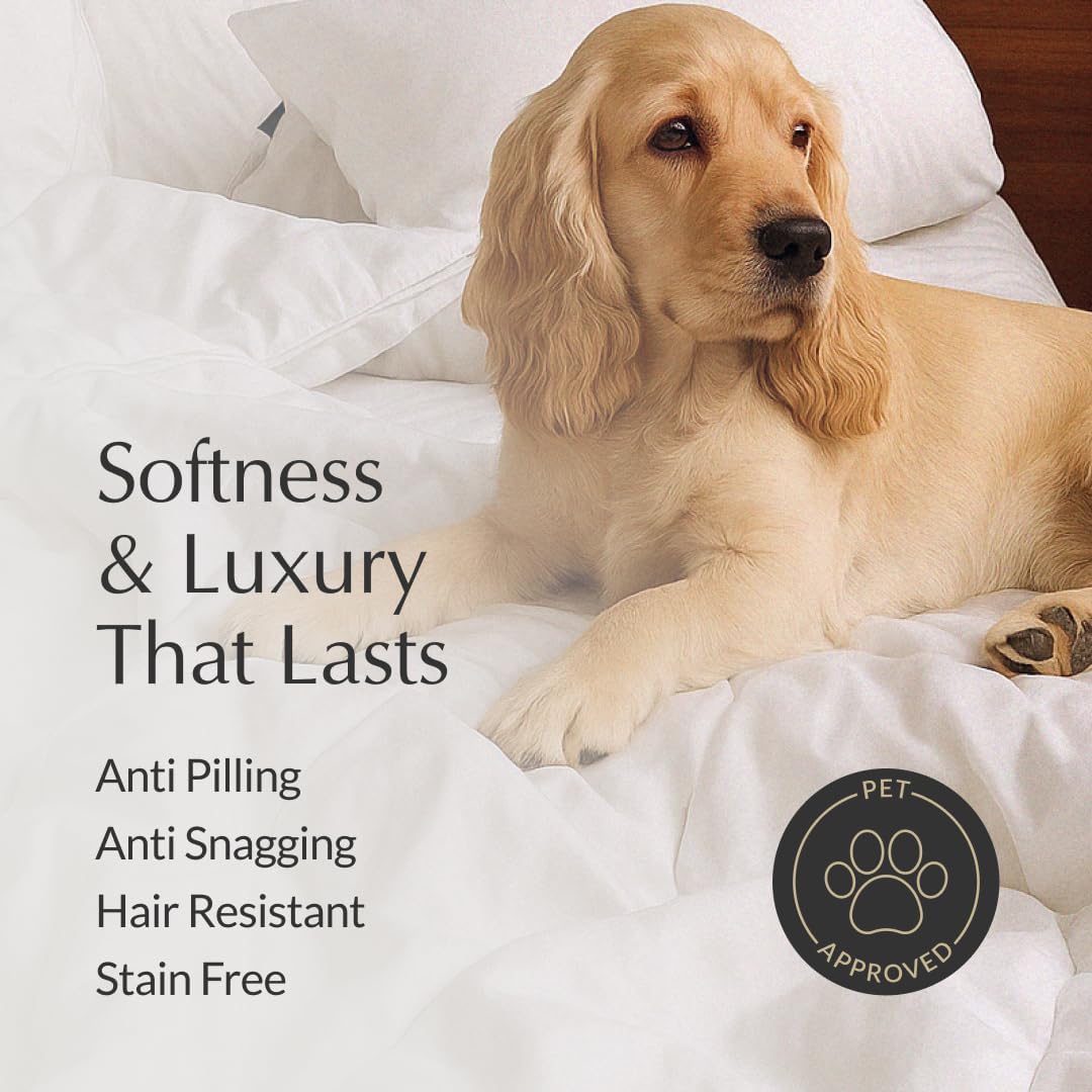 Buffy Cloud Comforter Queen Eucalyptus Fabric - How It Compares