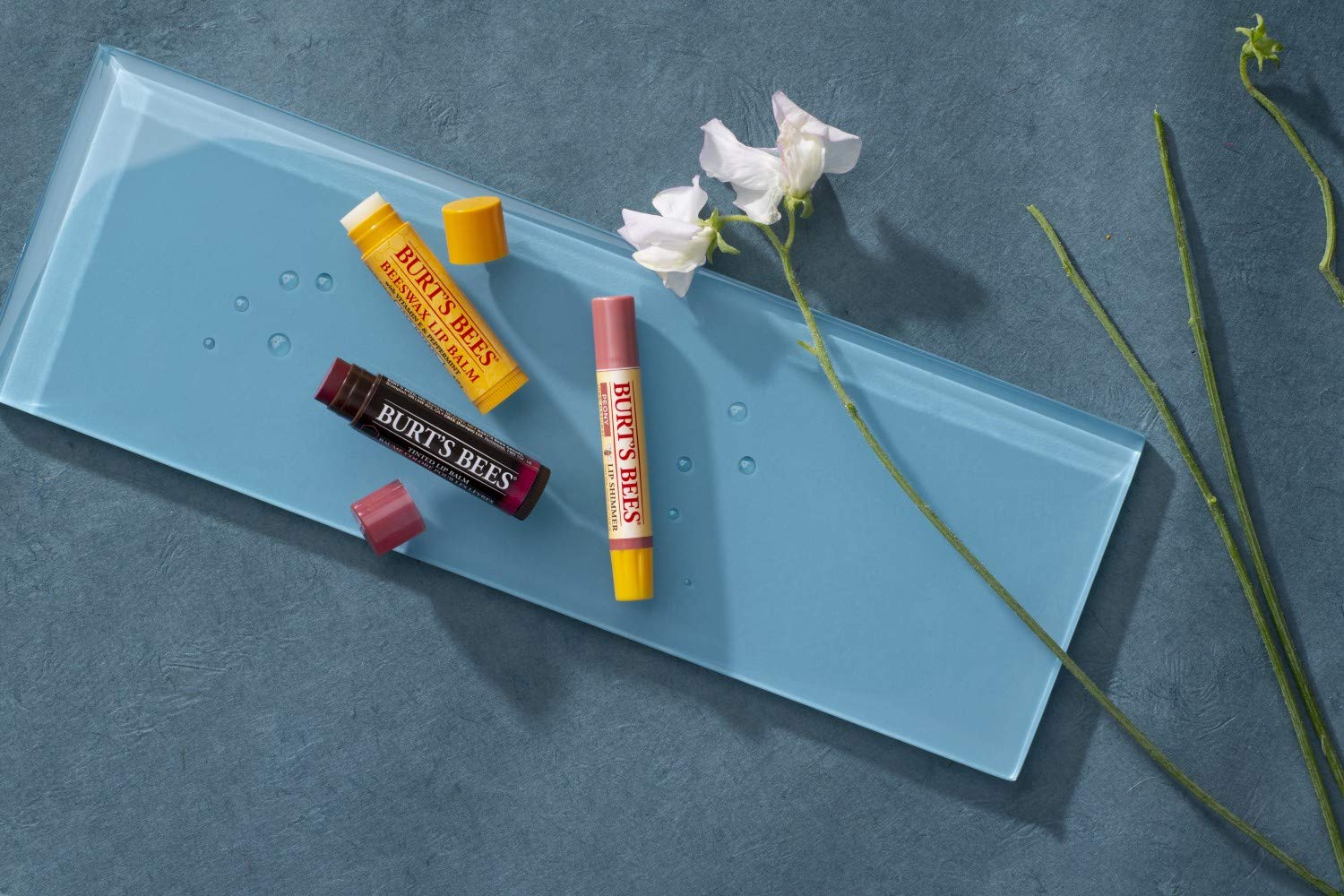 Burt's Bees Oatmeal Dog Shampoo 16oz - Performance Testing