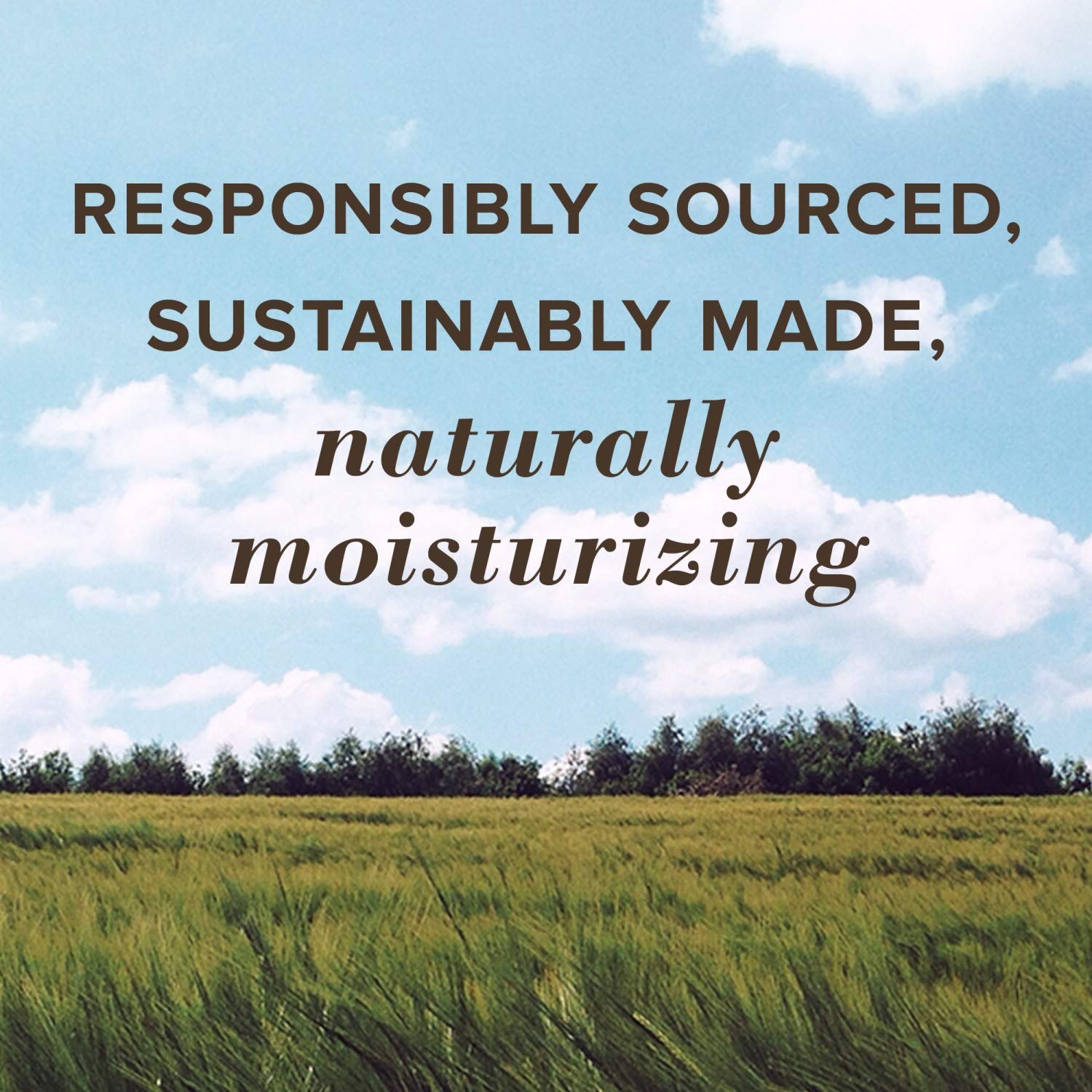 Burt's Bees Oatmeal Dog Shampoo 16oz - Final Verdict