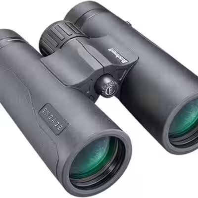 Bushnell Engage X 10x42 Binoculars Review: 60,000+ Reviews Can't Be Wrong — Or Can They? - Product Image