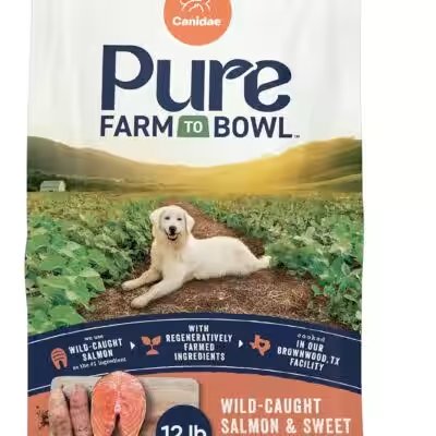 Canidae Pure Limited Ingredient Salmon Dog 24 Lbs Review — 30,000+ Amazon Ratings Later, Here's Our Honest Verdict - Product Image
