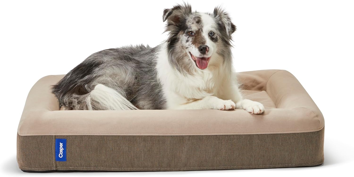Casper Dog Bed Medium Memory Foam - Is It Worth the Price?