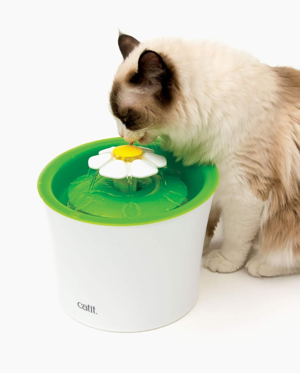Catit Flower Drinking Fountain - Design and First Impressions