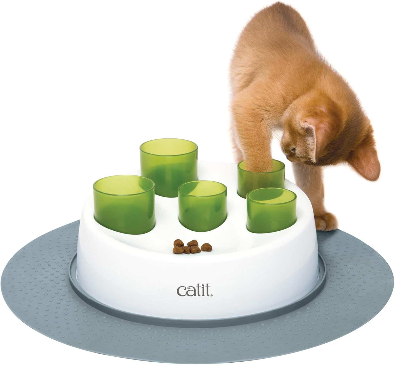 Catit Senses 2.0 Digger Interactive Cat Toy Review