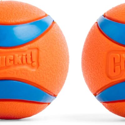Chuckit Ultra Ball 2-Pack Review: The Amazon Best Seller With 55,000+ Reviews Tested - Product Image