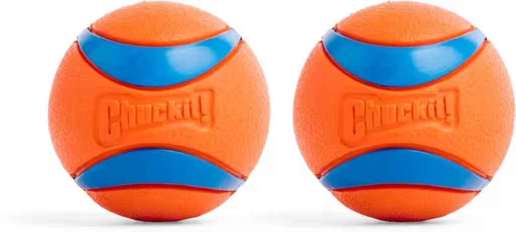 Chuckit Ultra Ball Dog Toy Medium 2 Pack Review — The Amazon Favorite With 40,000+ Ratings Put to the Test - Product Image