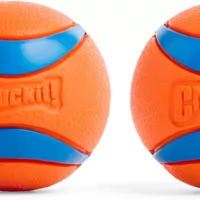 Chuckit Ultra Ball Dog Toy Medium 2 Pack Review — The Amazon Favorite With 40,000+ Ratings Put to the Test - Product Image