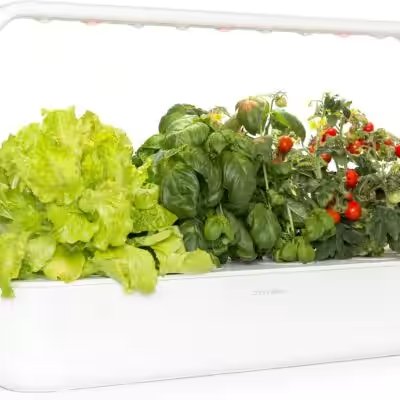Click and Grow Smart Garden 9 Indoor Herb Garden Review — Is It Really Worth $25 in 2026? - Product Image