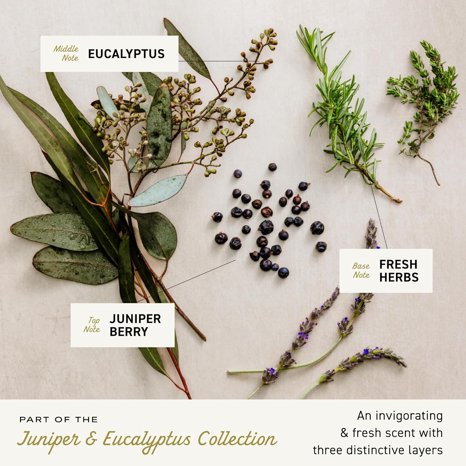 Cremo Barber Grade Thickening Shampoo 16oz - How It Compares