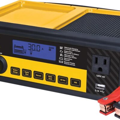DEWALT DXAEC80 30 Amp Automotive Battery Charger Review: 30,000+ Reviews Can't Be Wrong — Or Can They? - Product Image