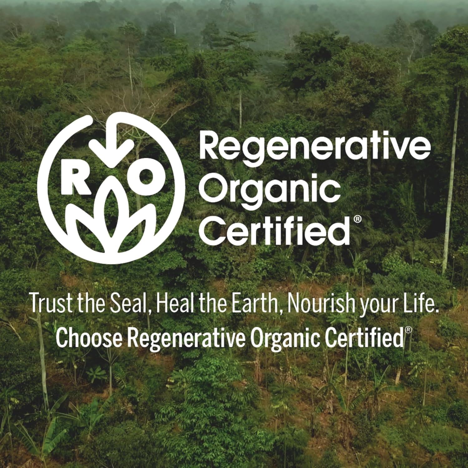 Dr. Bronner's Pure Castile Liquid Soap Peppermint 32oz - Is It Worth the Price?