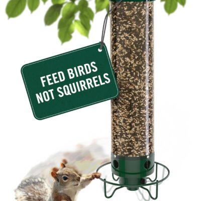 Droll Yankees Yankee Flipper Squirrel-Proof Bird Feeder Review — The Amazon Favorite With 60,000+ Ratings Put to the Test - Product Image