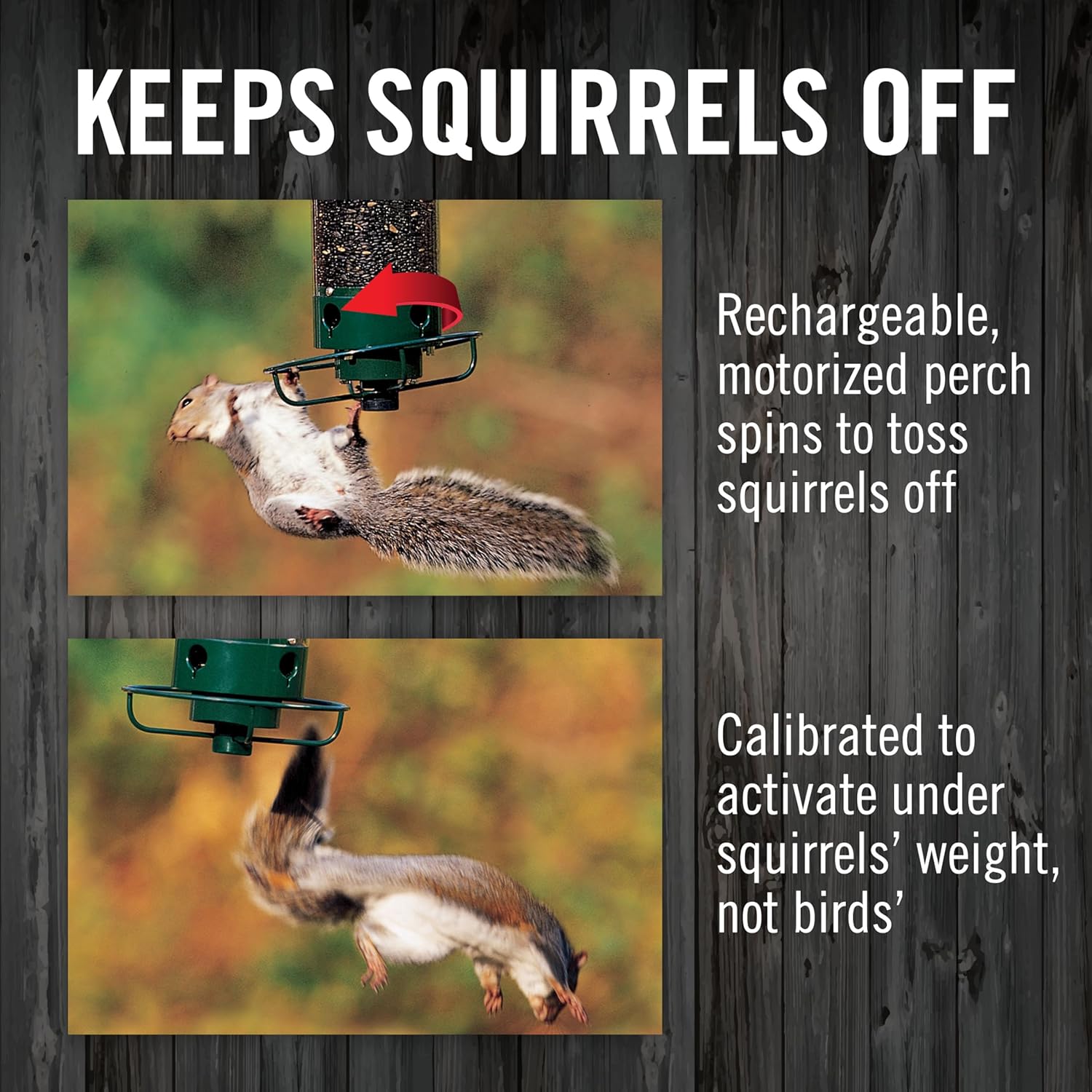 Droll Yankees Yankee Flipper Squirrel-Proof Bird Feeder - Performance Testing