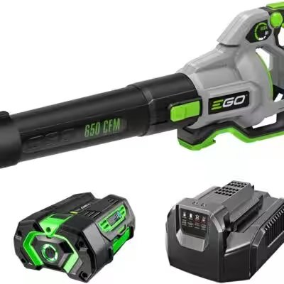 EGO Power+ LB6504 650 CFM Variable Speed Blower Review: Best Patio, Lawn & Garden Pick Under $100? - Product Image
