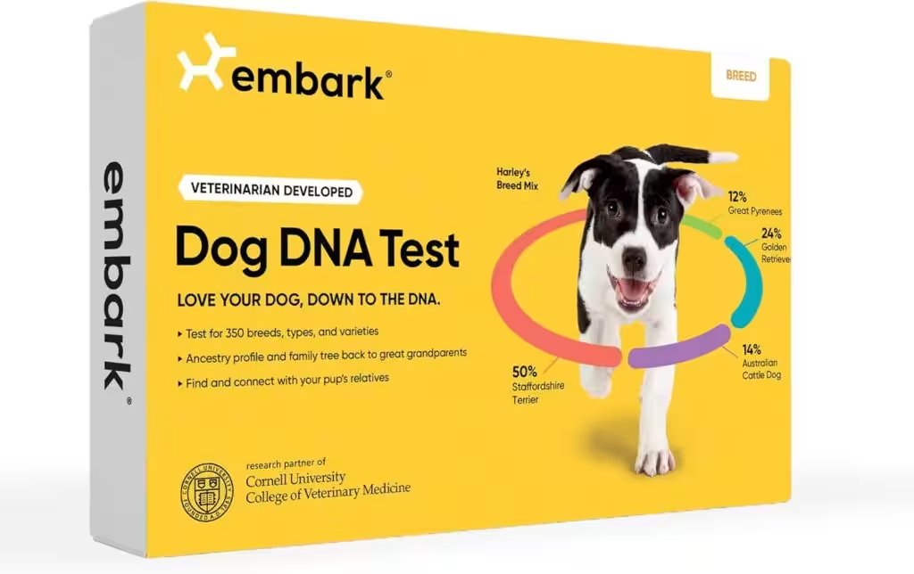 Embark Breed Identification Dog DNA Test Kit Review: 8,000+ Reviews Can't Be Wrong — Or Can They? - Product Image