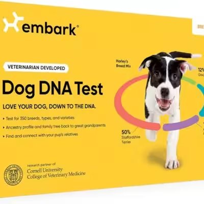 Embark Breed Identification Dog DNA Test Kit Review: 8,000+ Reviews Can't Be Wrong — Or Can They? - Product Image
