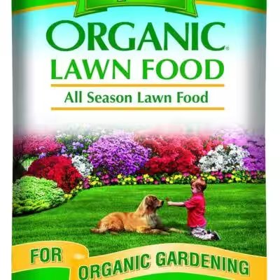 Espoma Organic Lawn Food 29 Lbs 5000 Sq Ft Review — The Amazon Favorite With 30,000+ Ratings Put to the Test - Product Image