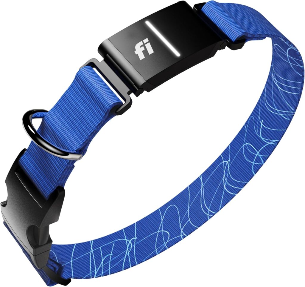 Fi Series 3 Smart Dog Collar GPS Tracker Review: 15,000+ Reviews Can't Be Wrong — Or Can They? - Product Image