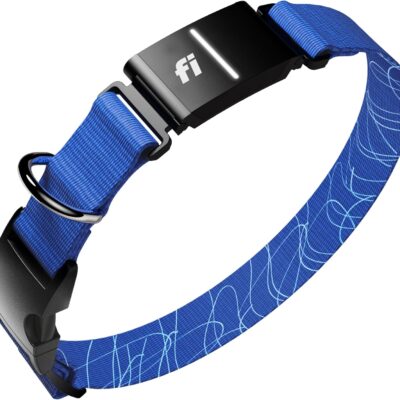 Fi Series 3 Smart Dog Collar GPS Tracker Review: 15,000+ Reviews Can't Be Wrong — Or Can They? - Product Image