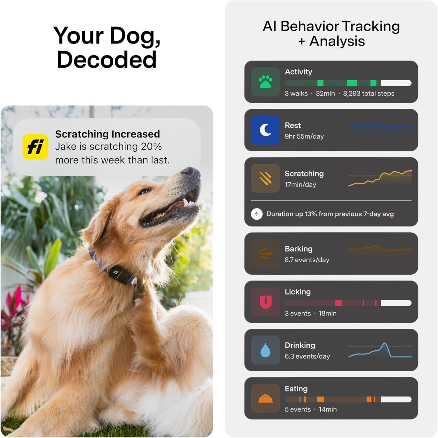 Fi Series 3 Smart Dog Collar GPS Tracker - Real-World Performance