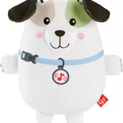 Fisher-Price Baby Bouncer Geo Meadow Calming Vibrations Review: Best Baby Pick Under $150? - Product Image