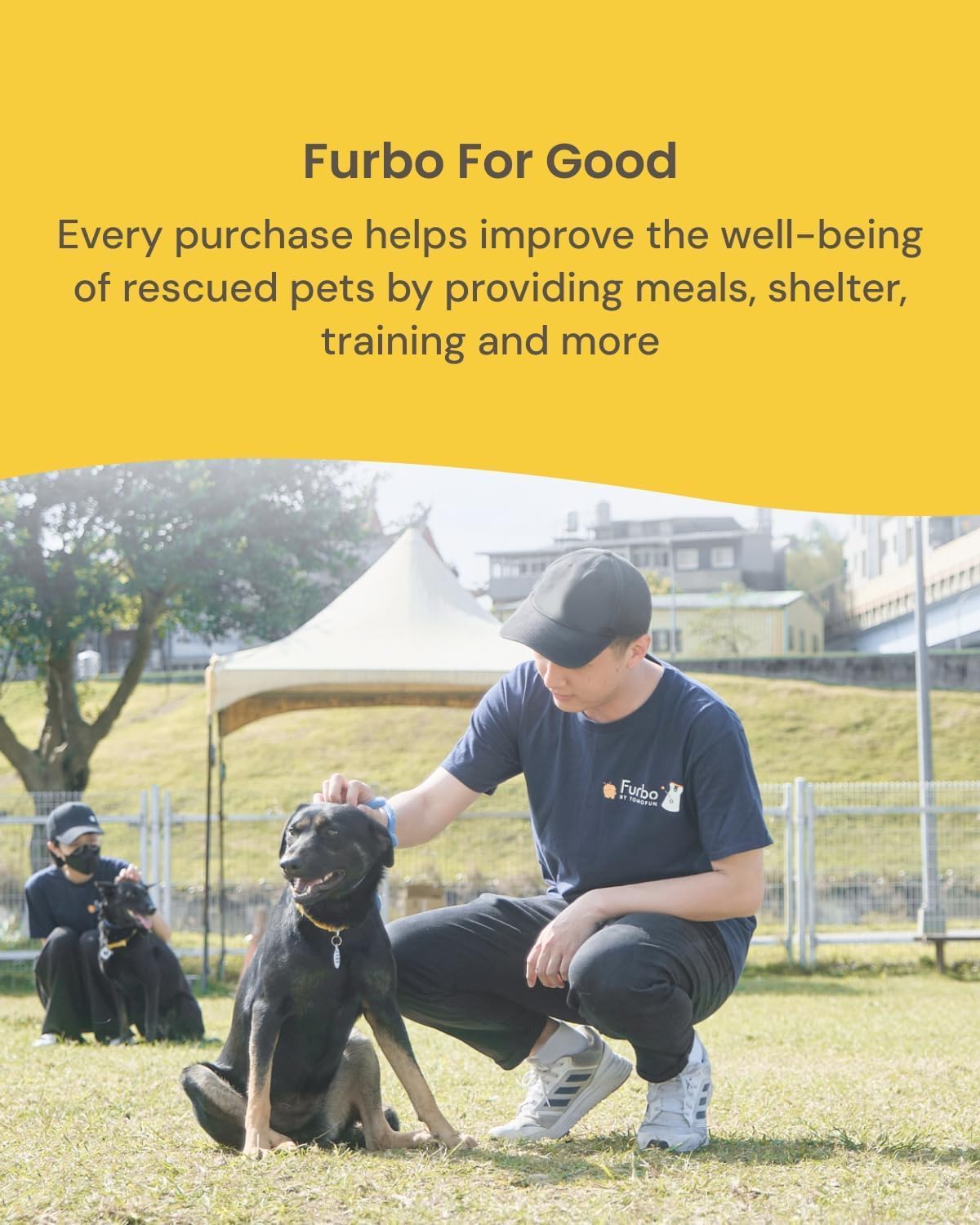Furbo 360 Dog Camera Treat Tossing Full HD WiFi - Performance Testing