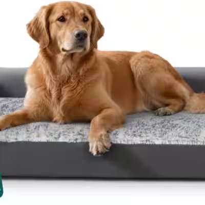 Furhaven Orthopedic Dog Bed L Shaped Chaise Sofa Jumbo Review: Is This Top-Rated Amazon Pick Worth $30? - Product Image