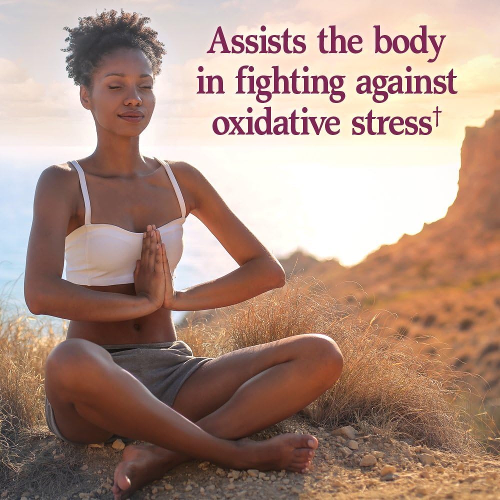 Garden of Life Raw Probiotics - Build Quality and Aesthetics