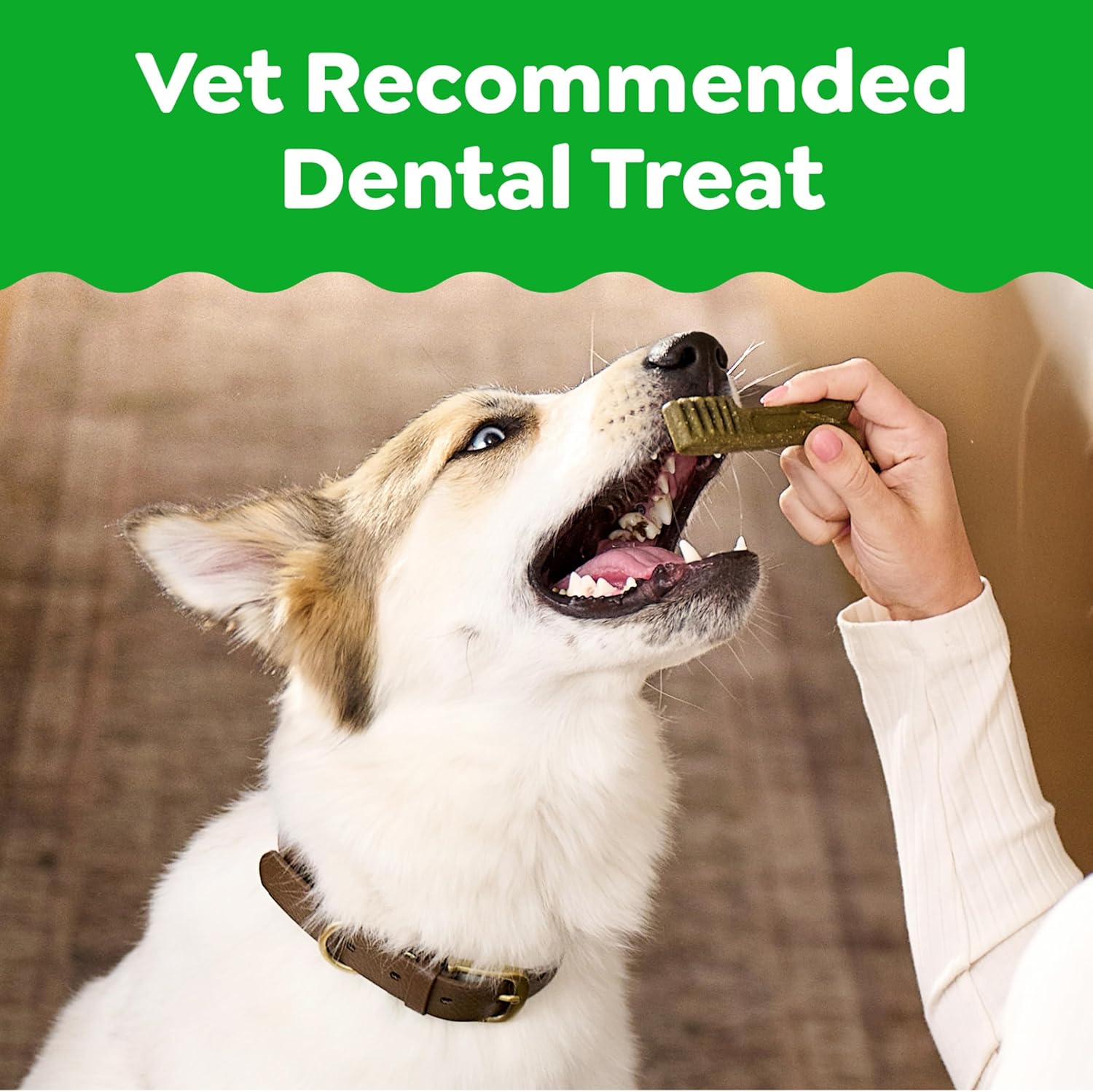 Greenies Original Dental Treats for Dogs - Price vs. Performance