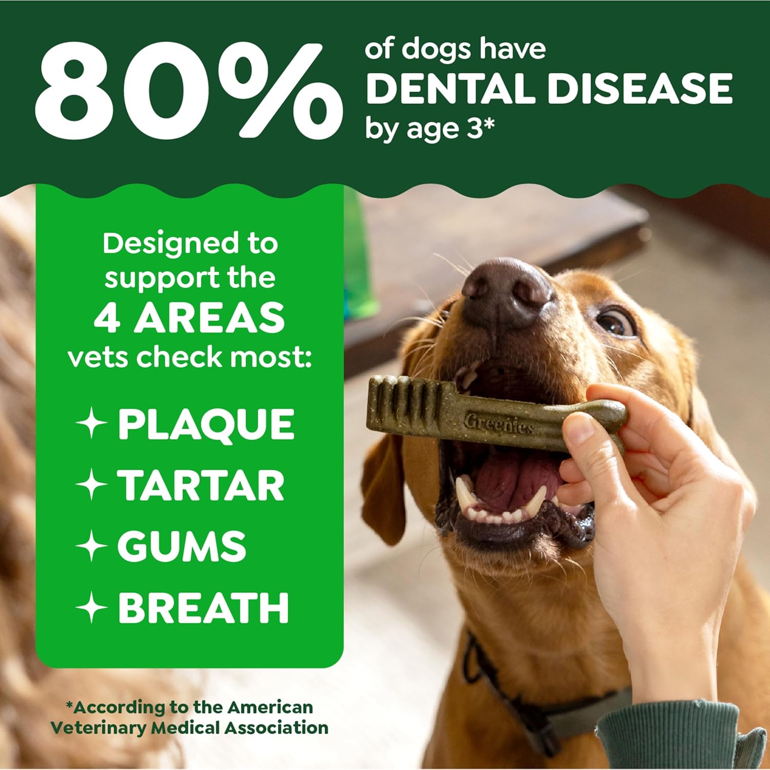 Greenies Original Dental Treats for Dogs - Performance: Where It Counts