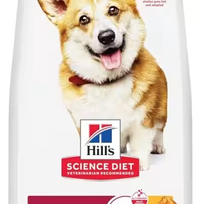Hill's Science Diet Adult Small Bites Chicken 15lb Review: We Tested the Amazon Bestseller So You Don't Have To - Product Image