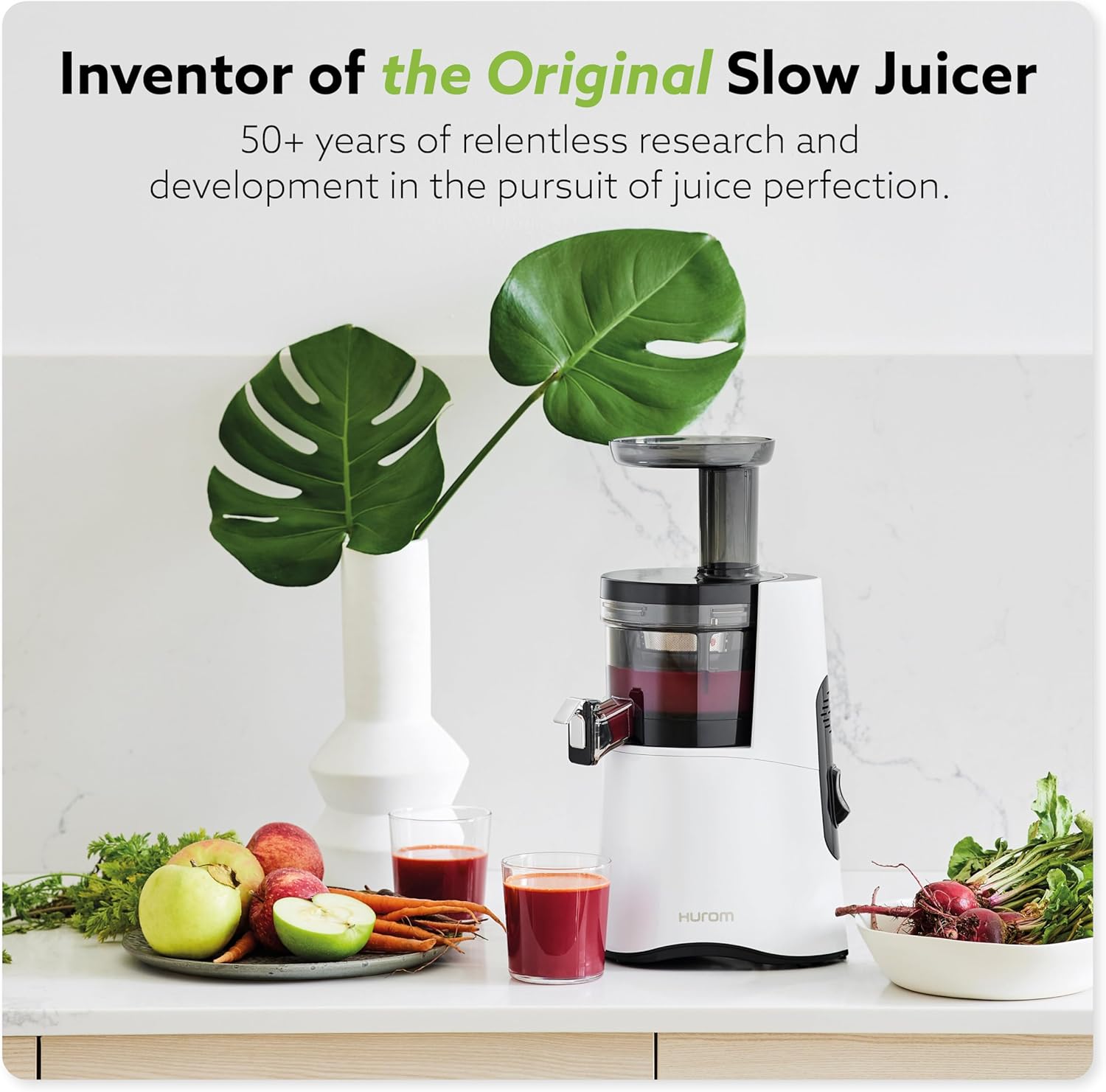 Hurom H-AA Slow Juicer Cold Press Juicer - Key Specifications