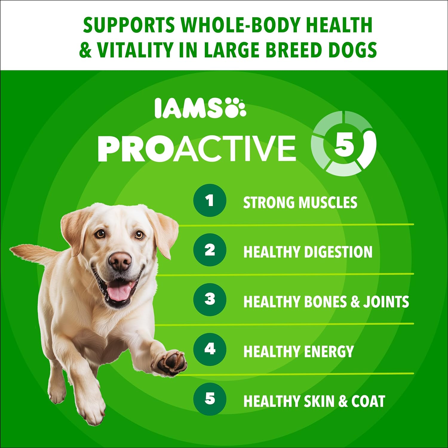 Iams ProActive Health Adult Dog Food Chicken 30 Lbs - Design and Build Quality