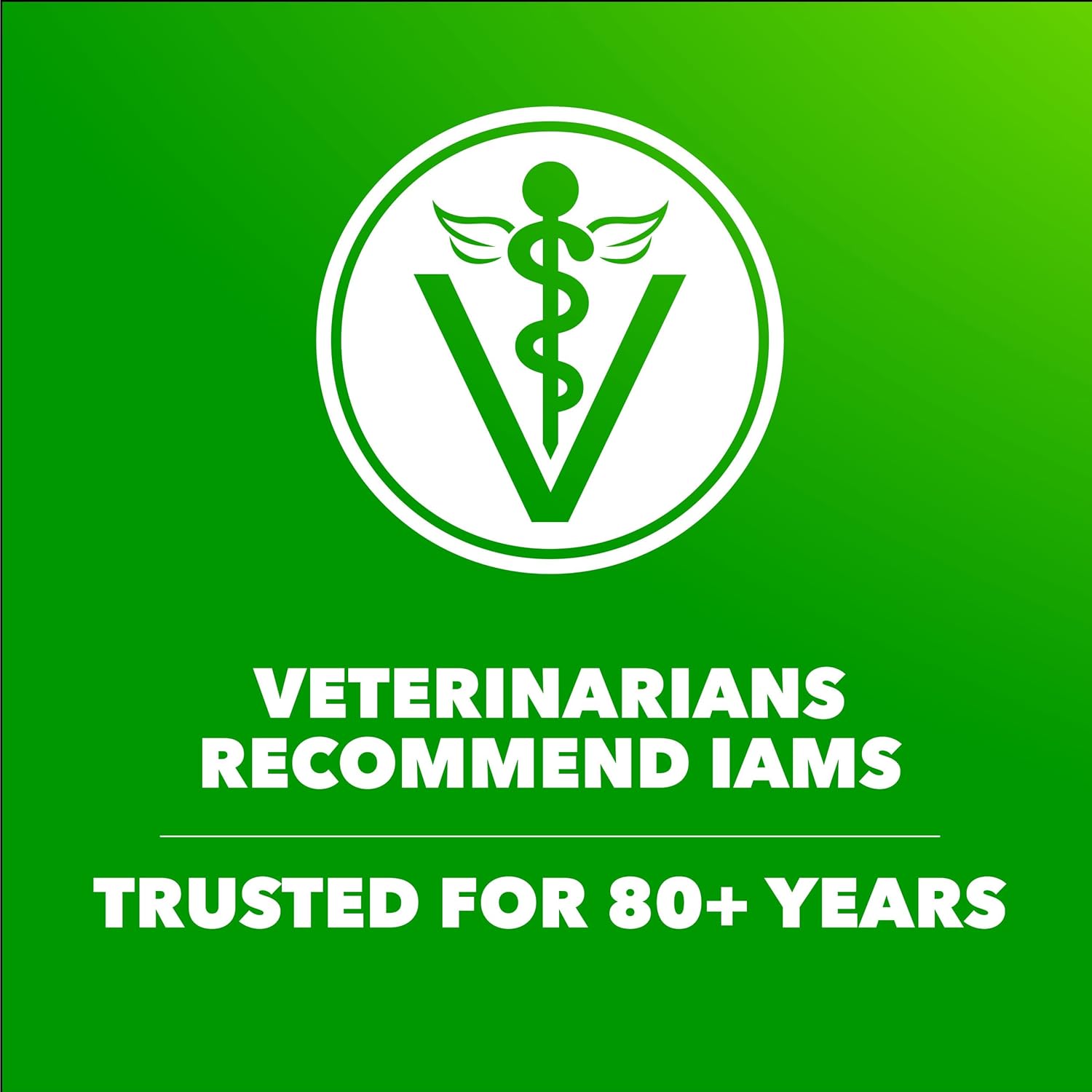 Iams ProActive Health Adult Dog Food Chicken 30 Lbs - Is It Worth the Price?