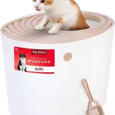 IRIS USA Top Entry Cat Litter Box with Scoop Review: The 20,000+-Review Amazon Hit — Worth Your Money? - Product Image