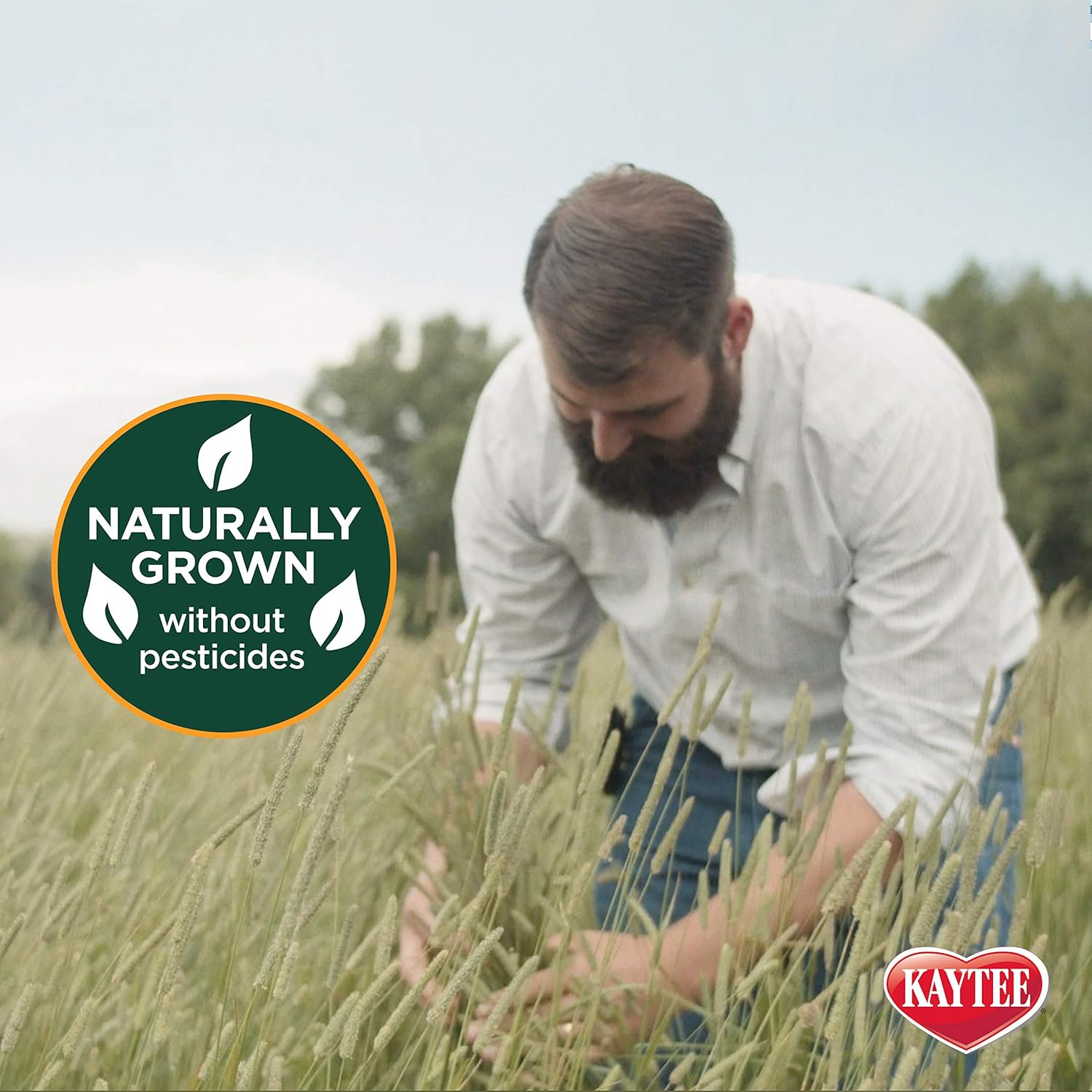 Kaytee Timothy Hay Plus Variety Pack 3 Pack - Real-World Performance